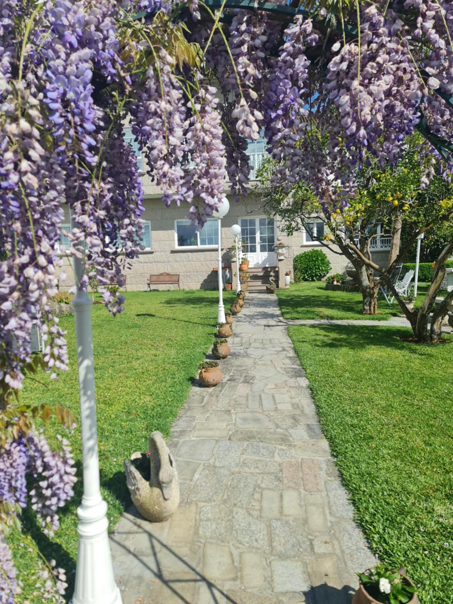 Casa A Pastora Pension Cambados Buitenkant foto